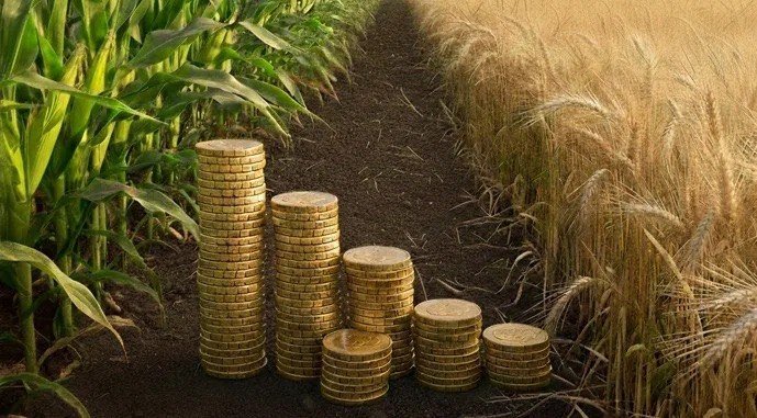 Қазақстанда егістікті құрғақшылықтан сақтандыру маусымы аяқталды: шаруаларға 5 млрд теңгеден астам өтемақы төленді
