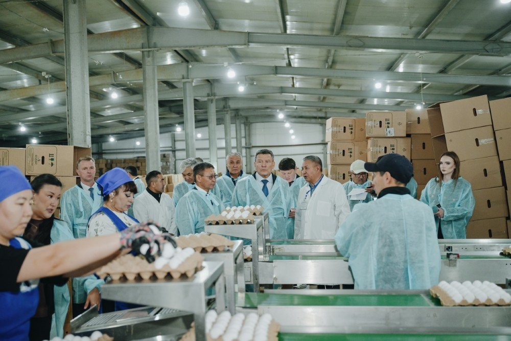 Тайынша ауданының агроөнеркәсіп кешенінде жаңа жобалар жүзеге асырылуда