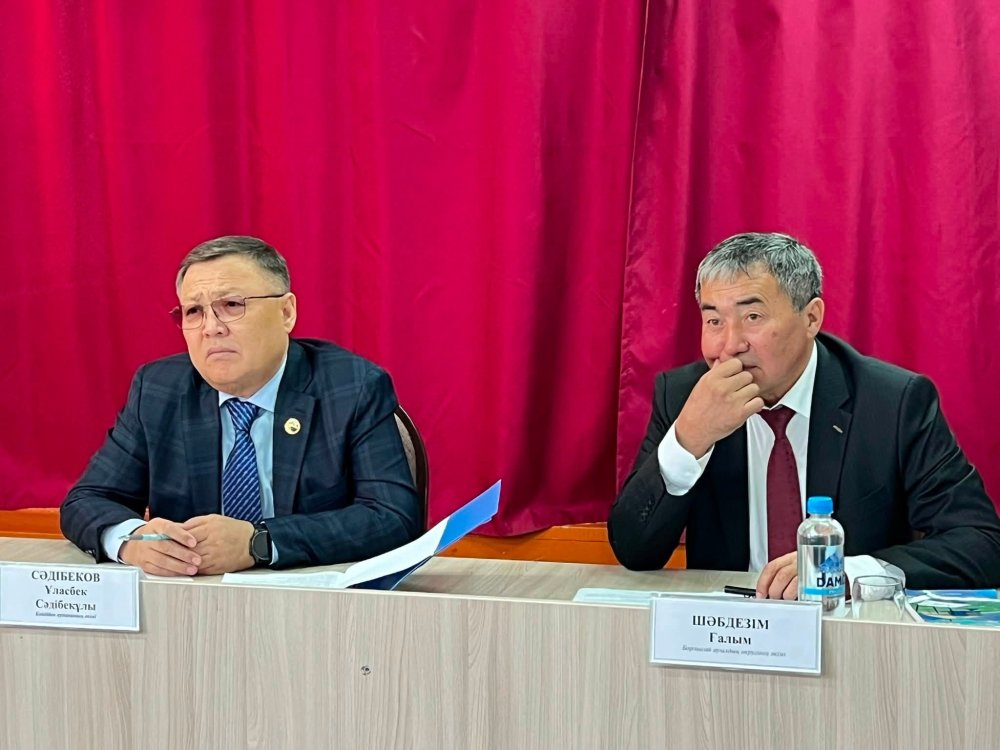 БӘЙДІБЕК: АУДАН ӘКІМІ БОРЛЫСАЙ АУЫЛДЫҚ ОКРУГІНЕ БАРДЫ