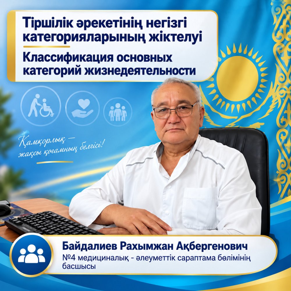 Тіршілік әрекетінің негізгі категорияларының жіктелуі