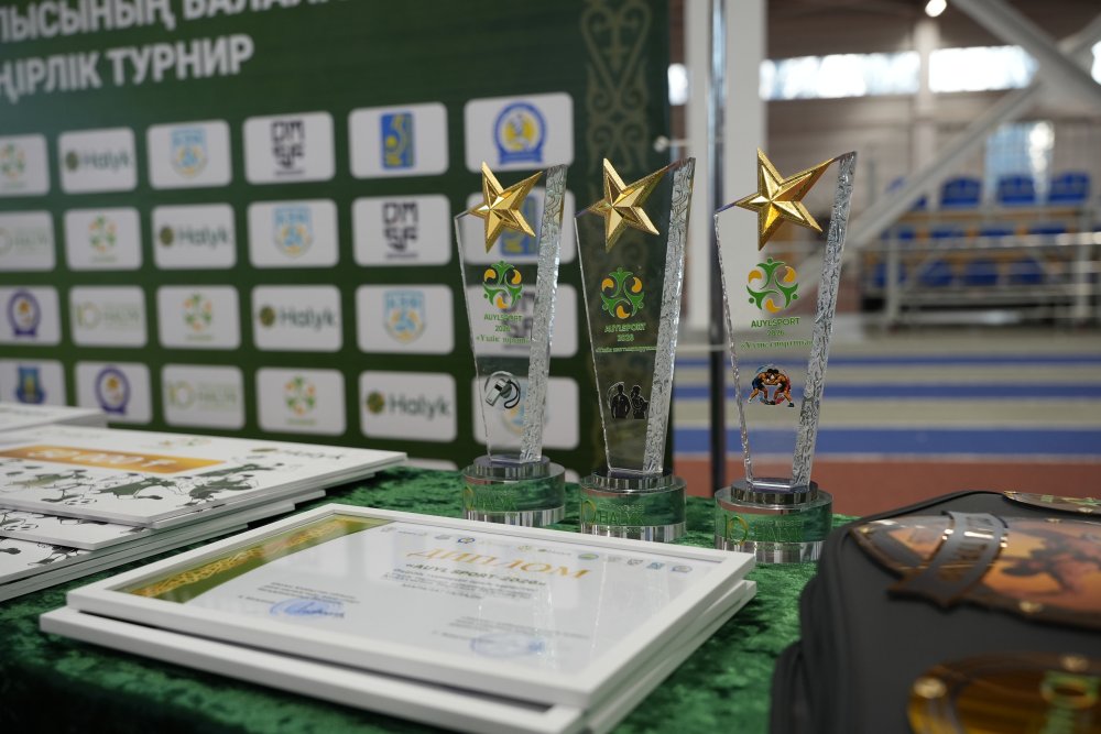 ШҚО-да ауылдық жерлердегі балалар арасында «AUYL SPORT-2026» облыстық турнирі өтуде