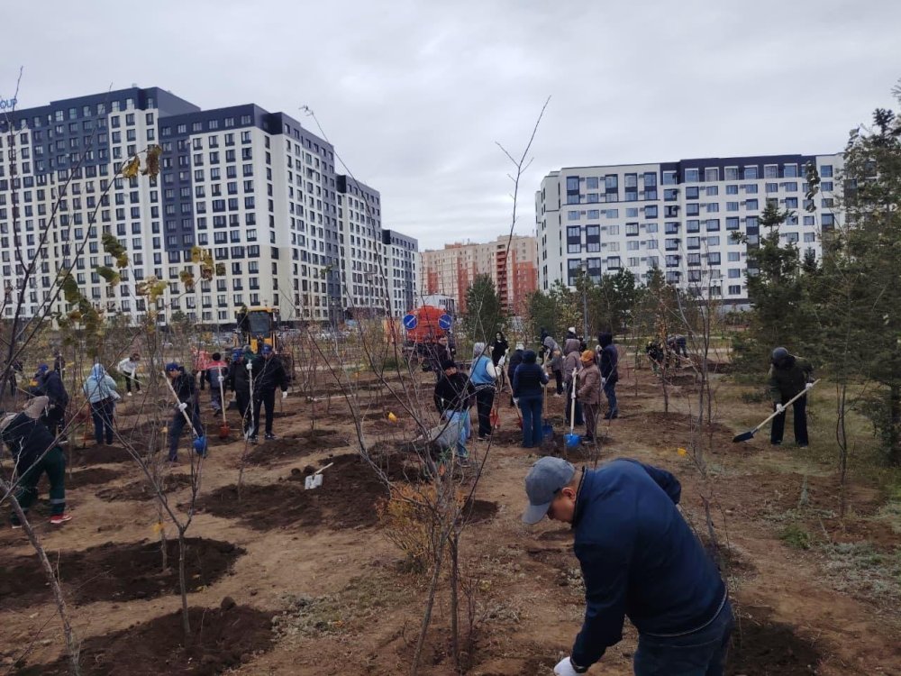 Астанада ауқымды экологиялық айлық өтіп жатыр: барлық ауданда тазалық акциялары ұйымдастырылуда