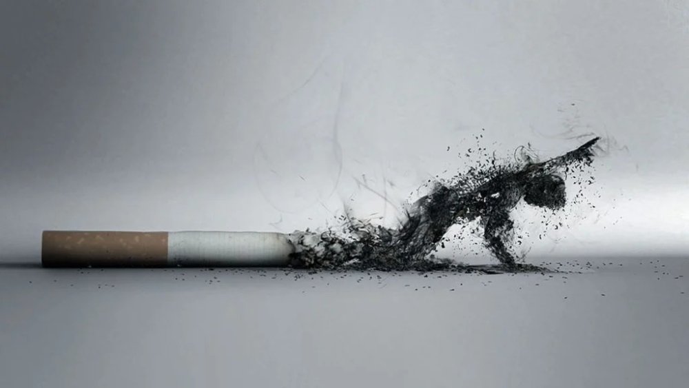 Қызылордада қоғамдық орынды ластаған азамат жауапкершілікке тартылды