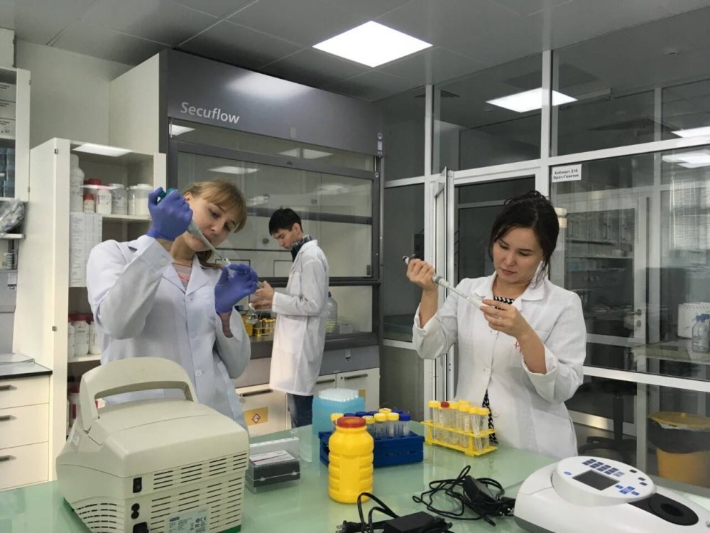 Қазақстанда ет өнімдерінің құрамын анықтайтын ПТР-тест әзірленді