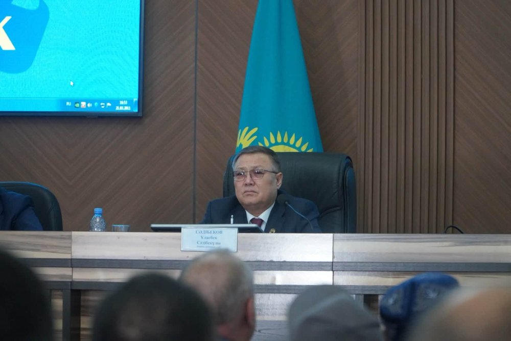 БӘЙДІБЕК: КӘСІПКЕРЛЕРМЕН КЕЗДЕСІП, КӘСІПКЕРЛІКТІ ҚОЛДАУ МӘСЕЛЕЛЕРІ ТАЛҚЫЛАНДЫ — Фотосурет 2