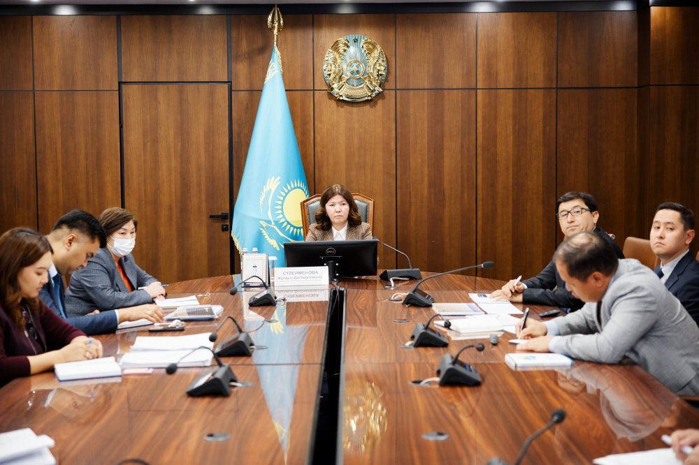 Жұлдыз Сүлейменова «Білім-инновация» лицейлерінің басшылығымен кездесті — Фотосурет 1