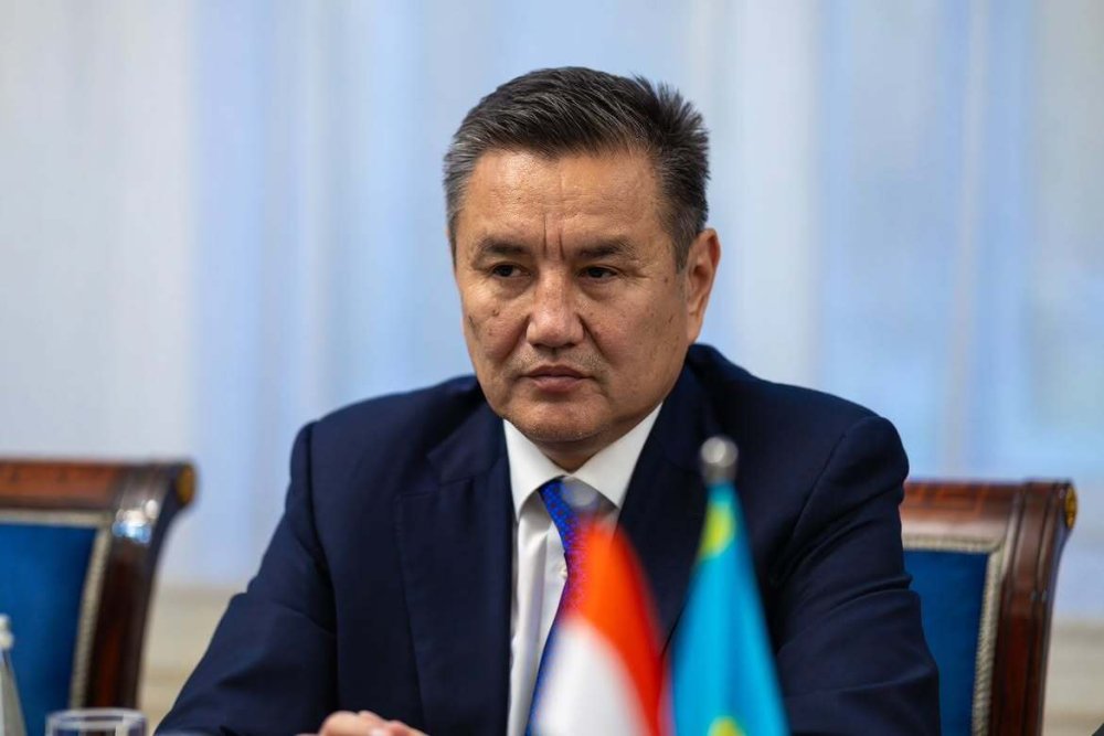 Шығыс Қазақстан мен Үндістан туризм және инвестиция салаларындағы ынтымақтастық перспективаларын талқылады — Фотосурет 3