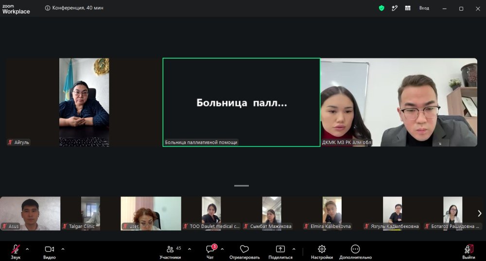 ҚР ДСМ Медициналық бақылау комитетінің Алматы облысы бойынша департаментінің ұйымдастыруымен медициналық ұйымдарды аккредиттеуге қатысты онлайн-конференция өткізілді — Фотосурет 2