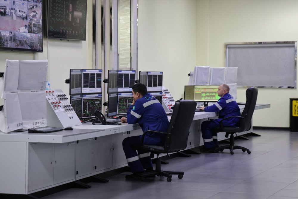 Павлодар облысында өндірістік нысандардың қауіпсіздігі мәселелері қаралды — Фотосурет 2