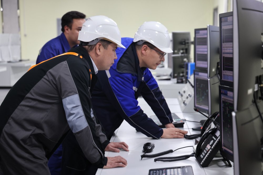 Павлодар облысында өндірістік нысандардың қауіпсіздігі мәселелері қаралды — Фотосурет 3