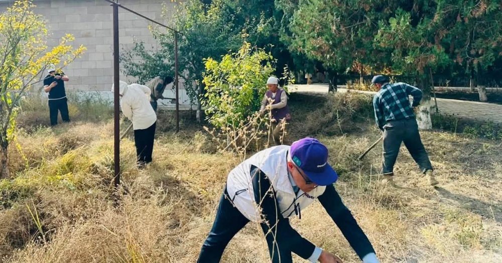 ТАЗА КҮЗ: ШАРДАРА АУДАНЫНДА АУҚЫМДЫ СЕНБІЛІК ӨТТІ — Фотосурет 2