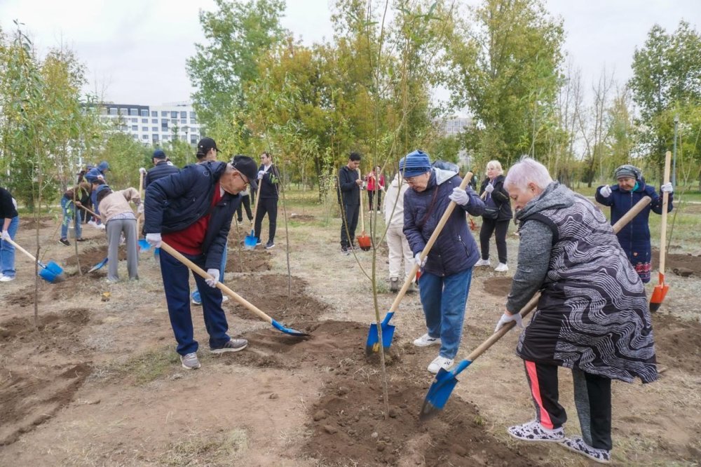 Астанада күзгі экологиялық айлыққа 400 мыңға жуық тұрғын қатысты — Фотосурет 1