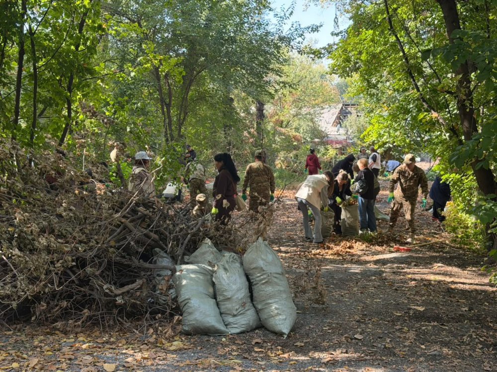 Алматыда бір күнде 1,2 мыңнан астам ағаш егілді — Фотосурет 1