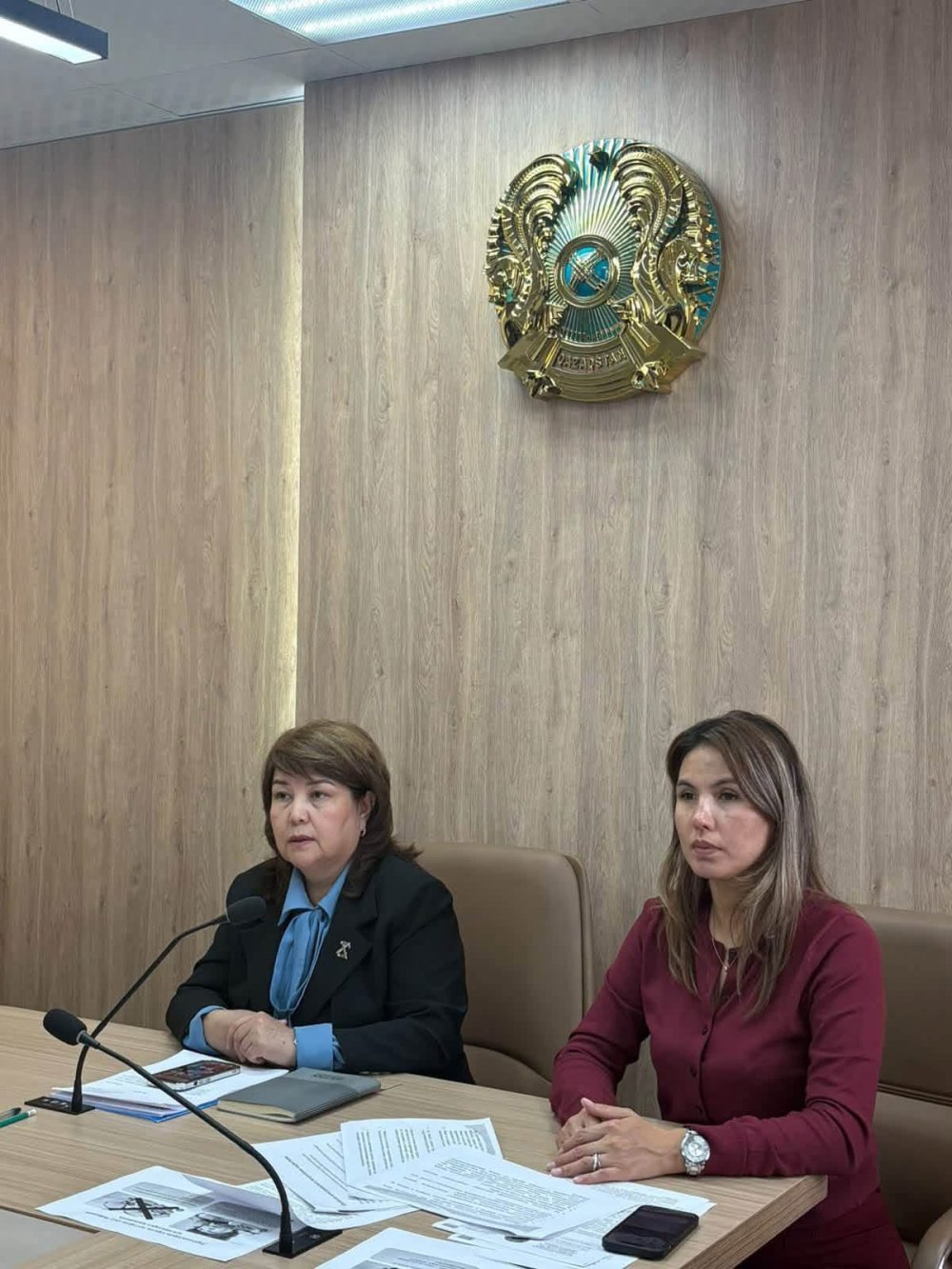 Дәрілік заттар мен медициналық бұйымдар айналымы саласындағы фармацевтикалық субъект өкілдерімен онлайн семинар туралы ақпарат — Фотосурет 1