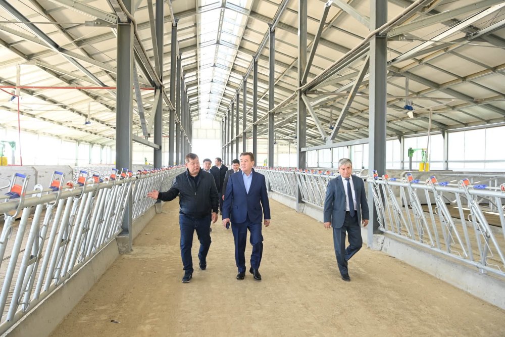 Өндірістік және инвестициялық жобалардың жұмыс қарқыны сараланды — Фотосурет 13