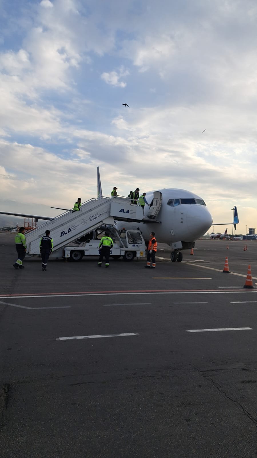 Flydubai Алматы мен Дубай арасында жүк рейстерін орындай бастады — Фотосурет 2