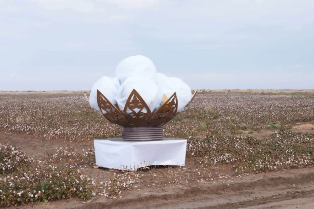 «AQ-DALA – 2026»: ТҮРКІСТАН ОБЛЫСЫНДА МАҚТАШЫЛАРҒА ҚҰРМЕТ КӨРСЕТІЛДІ — Фотосурет 31