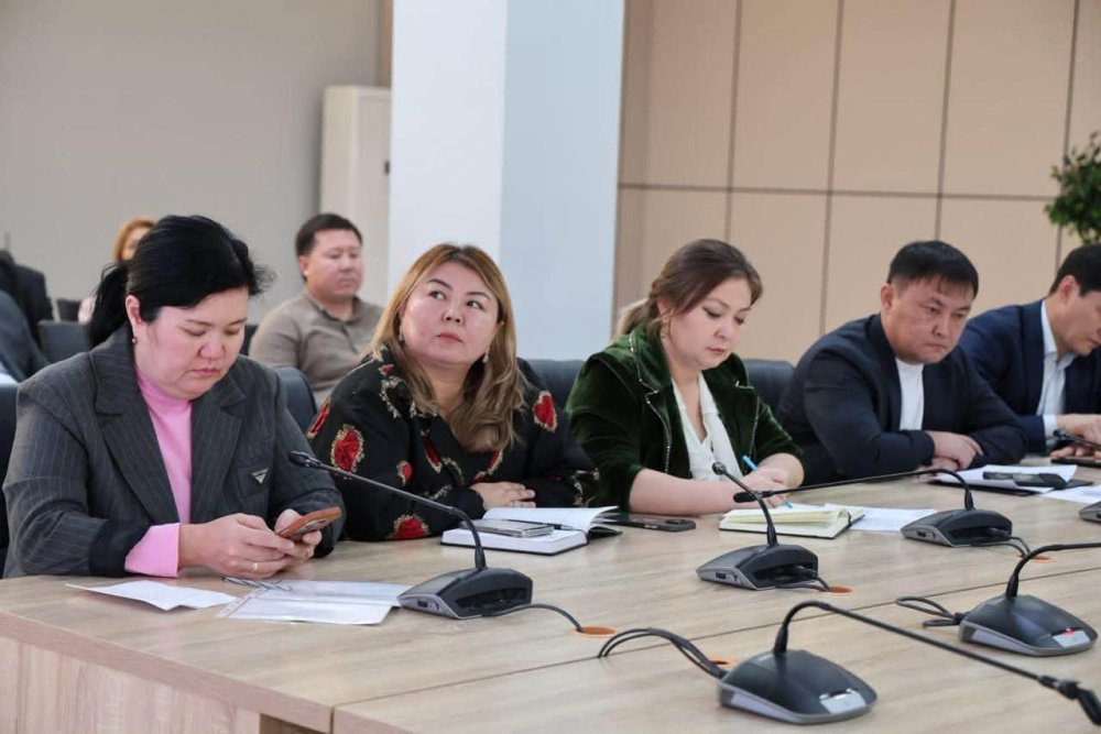 ТҮРКІСТАНДА ТҰРҒЫНДАР ӨТІНІШІ МЕН ТАПСЫРМАЛАРДЫҢ ОРЫНДАЛУЫ БАҚЫЛАНДЫ — Фотосурет 6