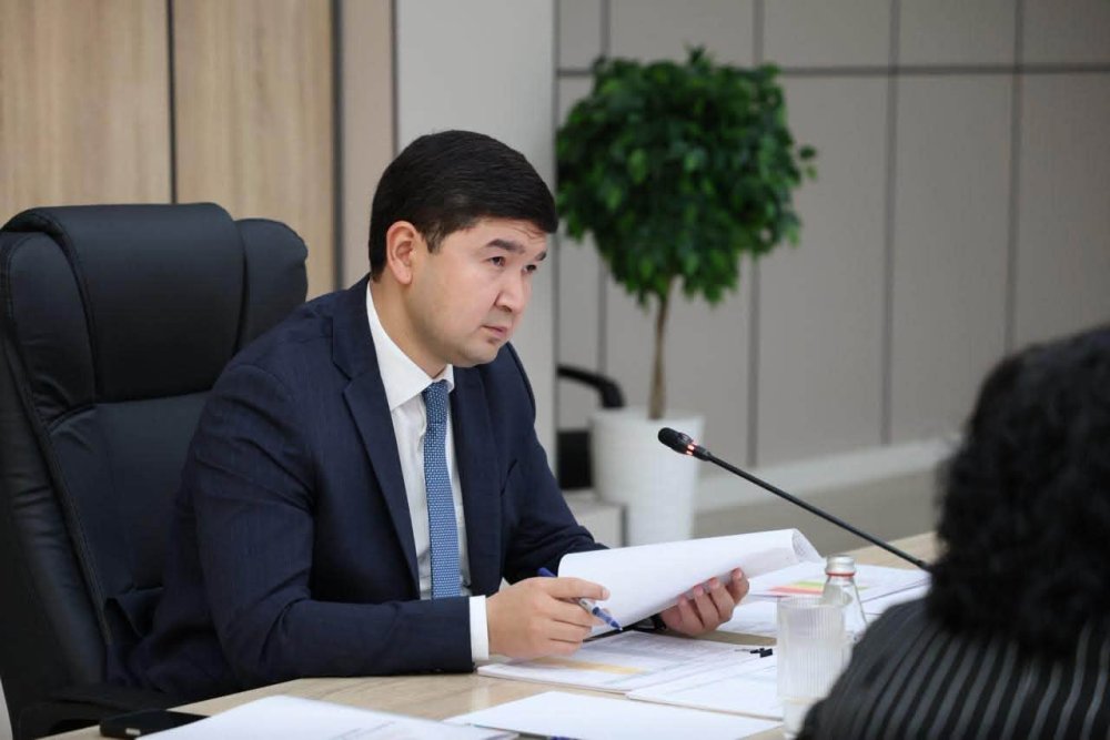 ТҮРКІСТАНДА ТҰРҒЫНДАР ӨТІНІШІ МЕН ТАПСЫРМАЛАРДЫҢ ОРЫНДАЛУЫ БАҚЫЛАНДЫ — Фотосурет 7