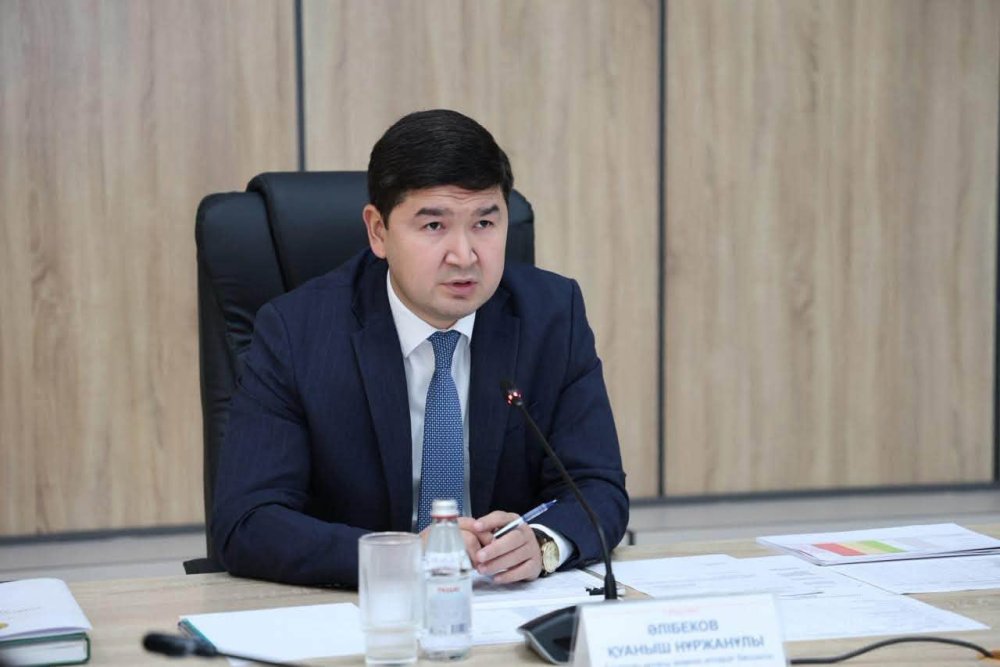 ТҮРКІСТАНДА ТҰРҒЫНДАР ӨТІНІШІ МЕН ТАПСЫРМАЛАРДЫҢ ОРЫНДАЛУЫ БАҚЫЛАНДЫ — Фотосурет 1
