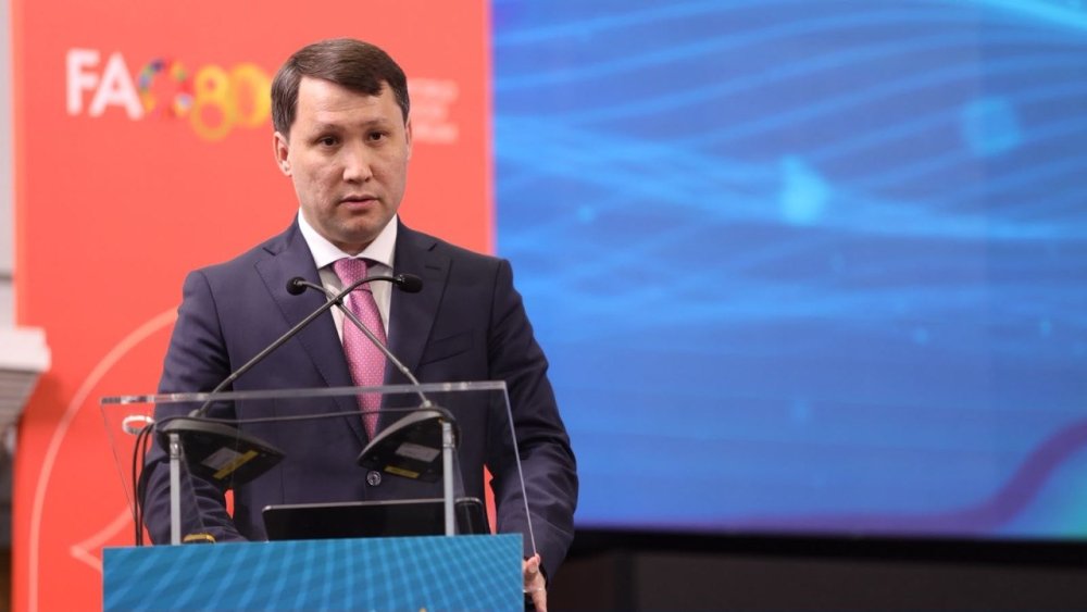 Қазақстан ФАО-ның Римдегі су диалогында тозған жерлерді қалпына келтіру тәжірибесін таныстырды — Фотосурет 1
