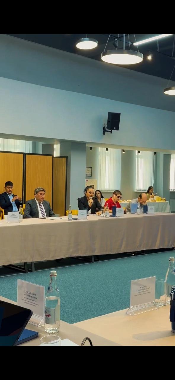 Қазақстан Республикасындағы Адам құқықтары жөніндегі уәкілдің Алматы қаласы бойынша өкілі Алматы қаласының инклюзивті ортаны дамыту жөніндегі кеңесінің отырысына қатысты. — Фотосурет 3