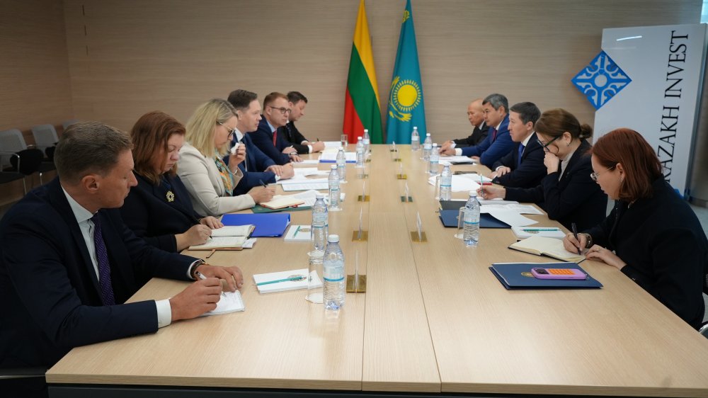 СІМ деңгейінде Қазақстан мен Литва саяси өзара іс-қимылды нығайтуда — Фотосурет 4