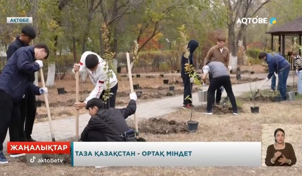 Таза Қазақстан - ортақ міндет Таза Қазақстан жалпы ұлттық экологиялық акциясы аясындағы қаланы көгалдандыру жұмыстары жалғасуда. Бұл жолы Қ.Жұбанов атындағы Ақтөбе өңірлік унверситеті жанындағы Жастар аллеясына 65 түп ағаш отырғызылды.