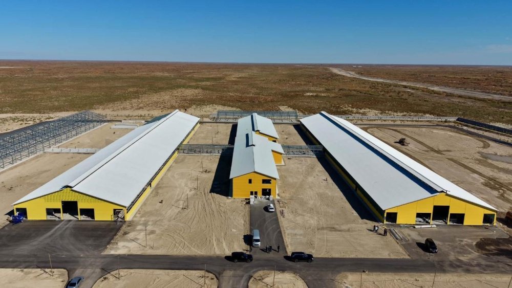 Өндірістік және инвестициялық жобалардың жұмыс қарқыны сараланды — Фотосурет 4
