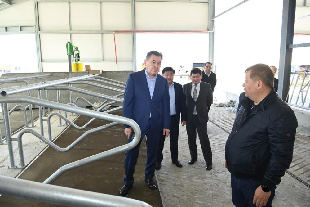 Өндірістік және инвестициялық жобалардың жұмыс қарқыны сараланды — Фотосурет 9