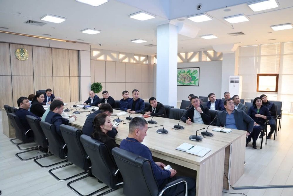 ОТБАСЫЛЫҚ ЦИФРЛЫҚ КАРТАНЫ ӨЗЕКТЕНДІРУ ЖӘНЕ МҮГЕДЕКТІГІ БАР АДАМДАРДЫ ОҢАЛТУ МӘСЕЛЕЛЕРІ ТАЛҚЫЛАНДЫ — Фотосурет 4