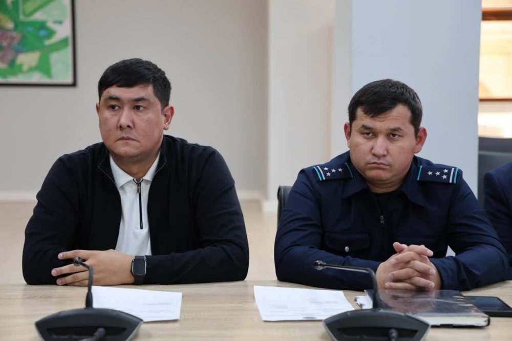 ОТБАСЫЛЫҚ ЦИФРЛЫҚ КАРТАНЫ ӨЗЕКТЕНДІРУ ЖӘНЕ МҮГЕДЕКТІГІ БАР АДАМДАРДЫ ОҢАЛТУ МӘСЕЛЕЛЕРІ ТАЛҚЫЛАНДЫ — Фотосурет 6