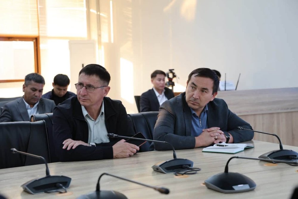ОТБАСЫЛЫҚ ЦИФРЛЫҚ КАРТАНЫ ӨЗЕКТЕНДІРУ ЖӘНЕ МҮГЕДЕКТІГІ БАР АДАМДАРДЫ ОҢАЛТУ МӘСЕЛЕЛЕРІ ТАЛҚЫЛАНДЫ — Фотосурет 2