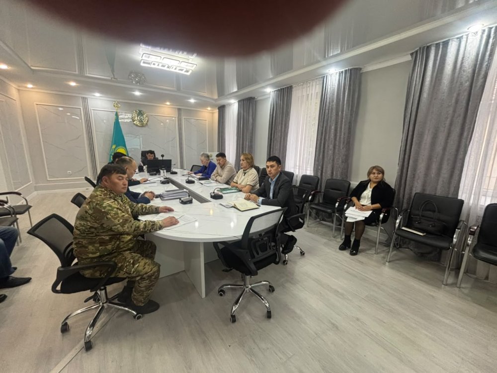 Аудан әкімі облыс әкімінің бірінші орынбасары М.И. Тасмағанбетовтің төрағалығымен бейнеконференцбайланыс (БКБ) режимінде өткен жұмыс кеңесіне қатысты. — Фотосурет 3