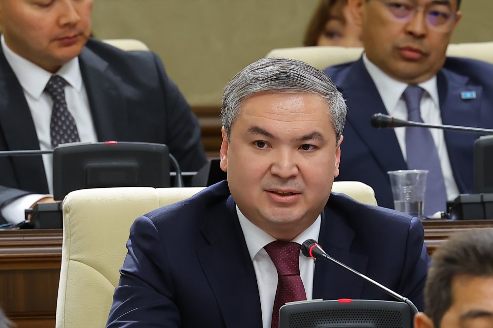 Жеті перспективалы учаске жаңа технологиялардың көмегімен анықталды – Ерсайын Нағаспаев құрылтай депутаттарының сұрақтарына жауап берді