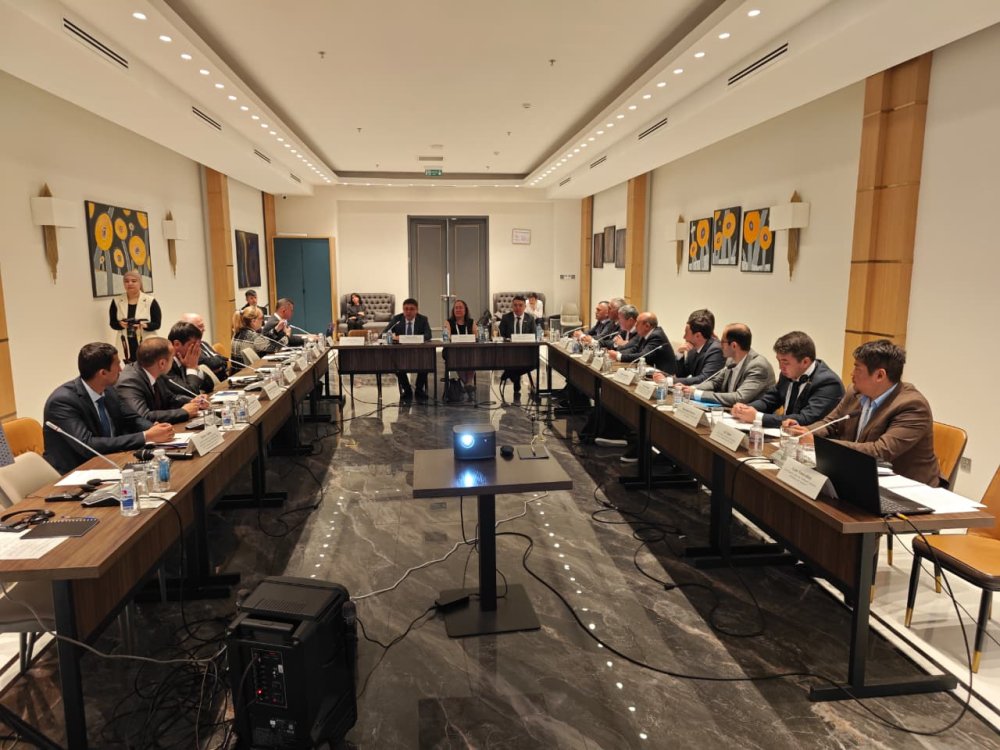 Душанбе қаласында Орталық Азияға арналған бірыңғай сейсмикалық нормаларды әзірлеу жұмыстары басталды — Фотосурет 1