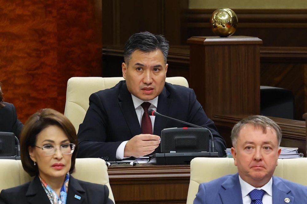 Еңбек және халықты әлеуметтік қорғау министрі Асқарбек Ертаев: Әлеуметтік қолдауды бөлу кезінде кірістермен қатар шығыстар да ескеріледі