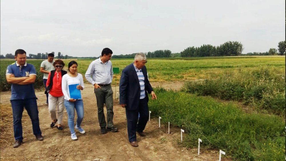 Ғалиолла Мейірман: отандық селекцияның дамуына өлшеусіз үлес қосқан ғалым — Фотосурет 5