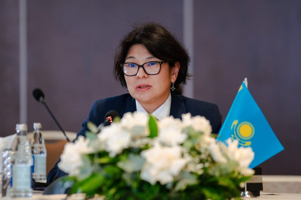 Бакуде Түркі мемлекеттері ұйымына мүше елдерінің зияткерлік меншік саласындағы ведомстволары басшыларының екінші отырысы өтті — Фотосурет 2
