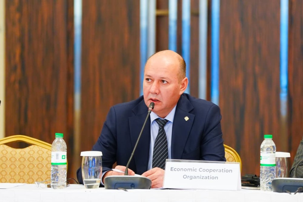 Астанада Экономикалық ынтымақтастық ұйымы елдерінің көлік саласын дамыту мәселелері талқыланды — Фотосурет 2