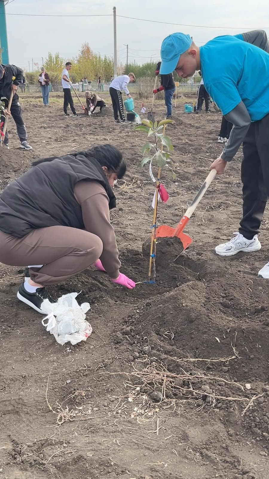 Сарыкөл агробизнес және құқық колледжінде жеміс ағаштарының көшеттері отырғызылды. — Фотосурет 12