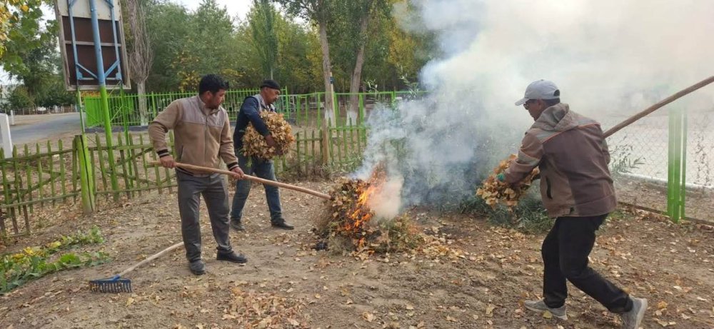🍂🧹 ТАЗАЛЫҚ АКЦИЯСЫ – КҮЗГІ СЕНБІЛІК!🌿 — Фотосурет 1