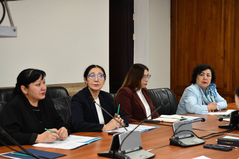 Әйелдер істері және отбасылық-демографиялық саясат жөніндегі комиссияның кезекті отырысы өтті — Фотосурет 3