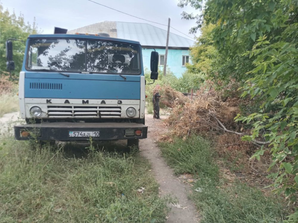 Қоқыс және шөпті қоқыс контейнерден тазарту — Фотосурет 1