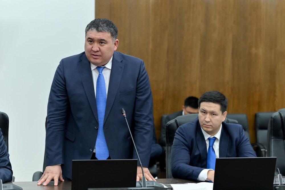 Облыс әкімі халықтың осал топтарына арналған тұрғын үйлерді бөлу жұмыстарын жандандыруды тапсырды — Фотосурет 10