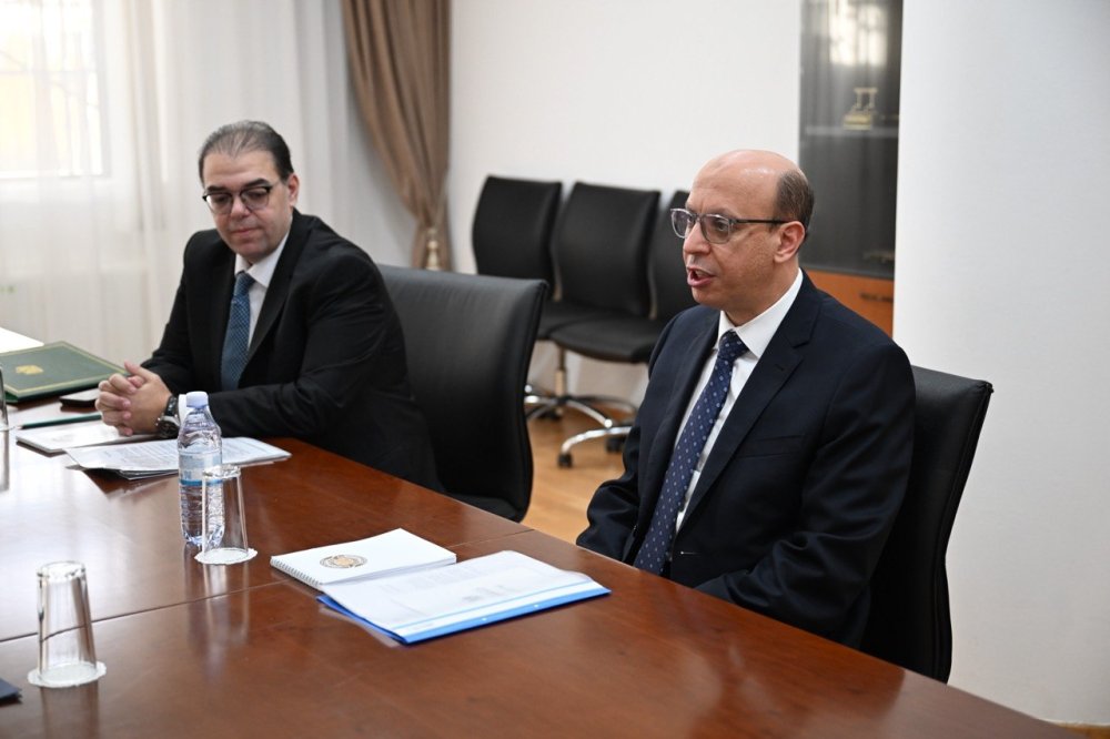 Қазақстан Сыртқы істер министрінің орынбасары Мысыр Елшісін қабылдады — Фотосурет 4