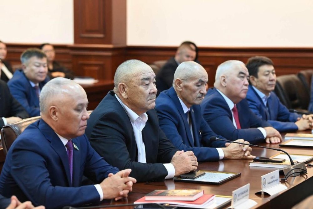 Аймақ басшысы облыстық мәслихаттың VIII шақырылымының депутаттарымен кездесті — Фотосурет 8