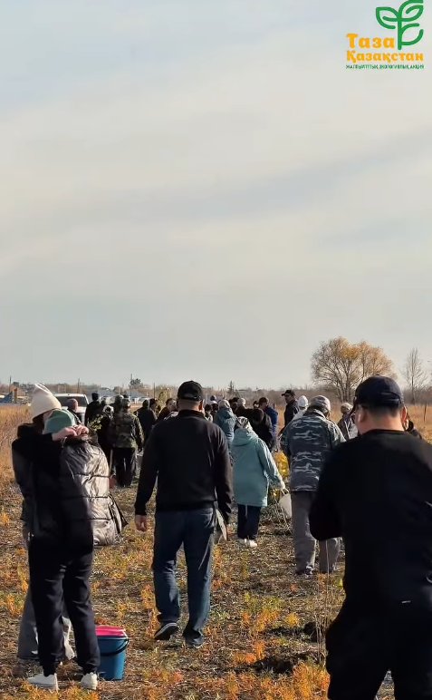 «ТАЗА ҚАЗАҚСТАН» РЕСПУБЛИКАЛЫҚ ЭКОЛОГИЯЛЫҚ АКЦИЯСЫ АЯСЫНДА КҮЗГІ АҒАШ ОТЫРҒЫЗУ ЖҰМЫСТАРЫ ЖҮРГІЗІЛДІ — Фотосурет 3