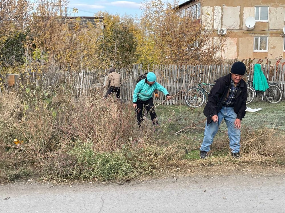 Фурманов-Ленин көшесіндегі шөпті жинау — Фотосурет 4