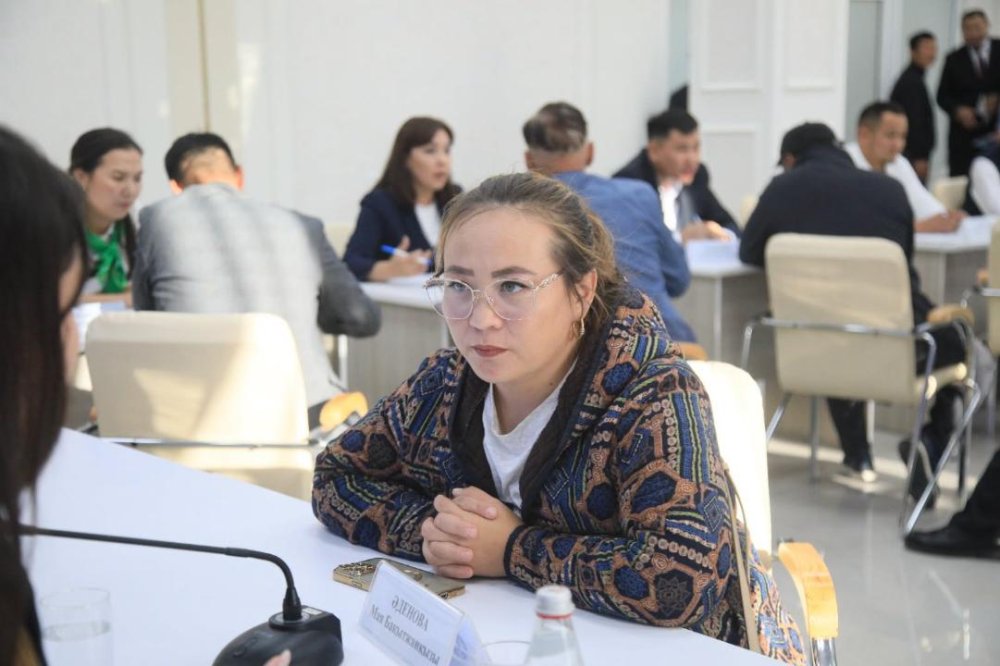 Кәсіпкерлерге қаржылай қолдау көрсету мәселелері бойынша кездесу өтті — Фотосурет 3